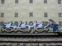 dntty:  Sueme by Scotty Cash on Flickr.