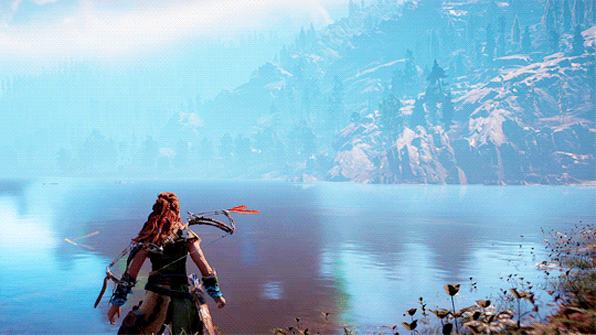 HZD Week