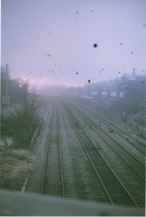 sidblack:  35mm film, soaked for 24 hours in Lemon Juice. 