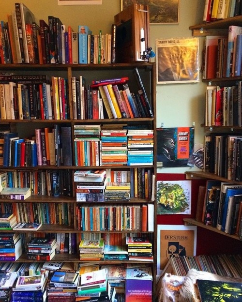 macrolit:Young Savage Vintage Clothing, Records & Books in Belfast, Northern Ireland.