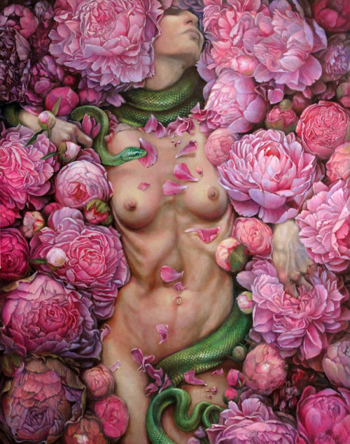 backwrdblackbrd: Metamorfoza By Grazapp 