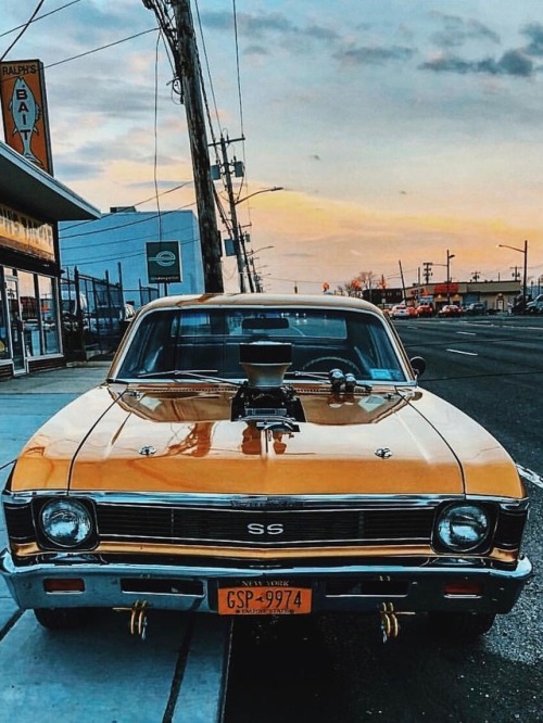 utwo: Chevy Nova    © joe stemmler 