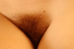 Hairy Bushy Pussy