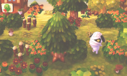 mayor-totoro:  Town of Fateside ♡ 6600-5552-9680  ♡