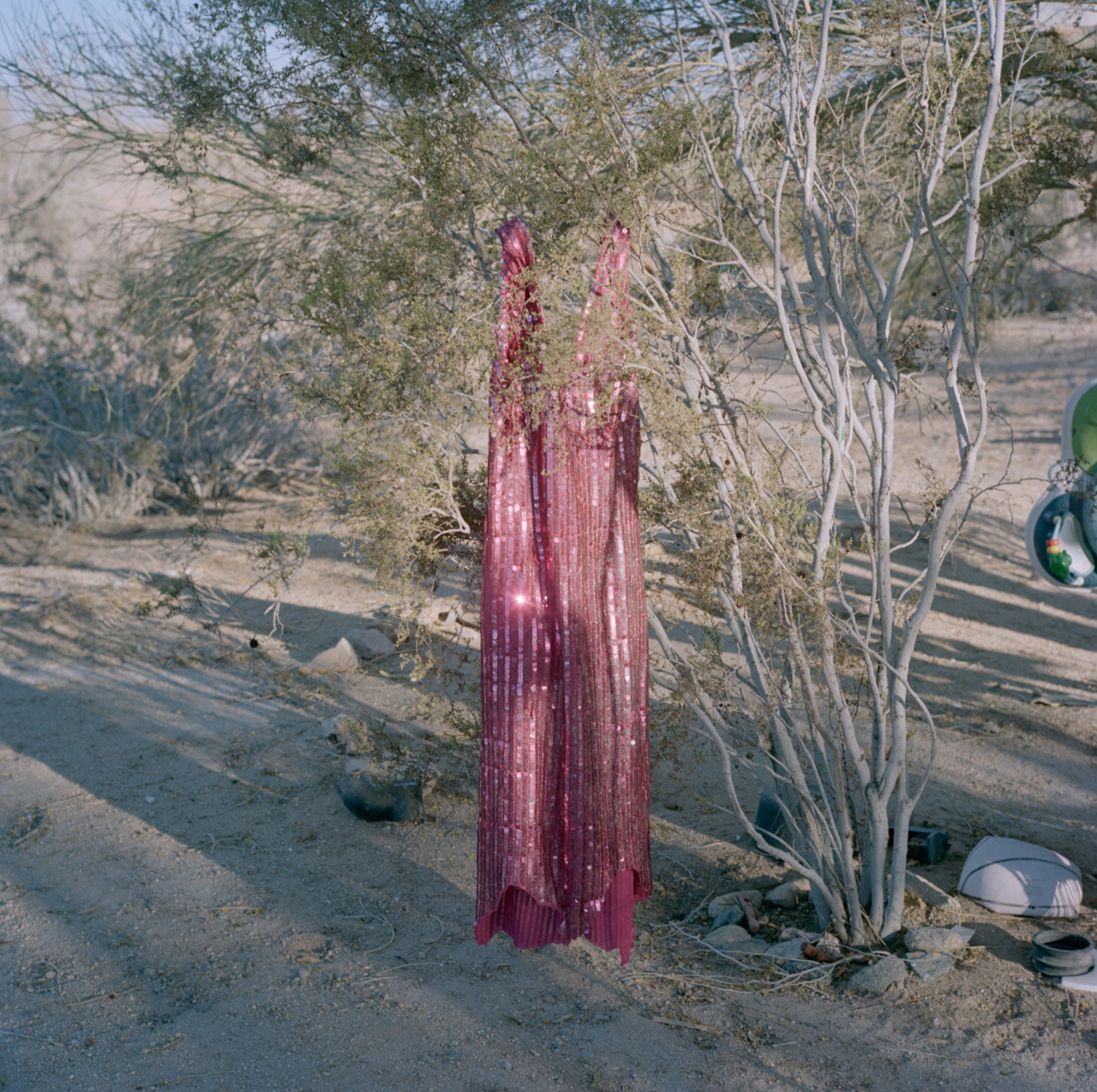 thephotoregistry:  From There It Is. Take It.Carl Bigmore
