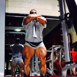 drwannabe:  Payam Mofarrahi on front squats 