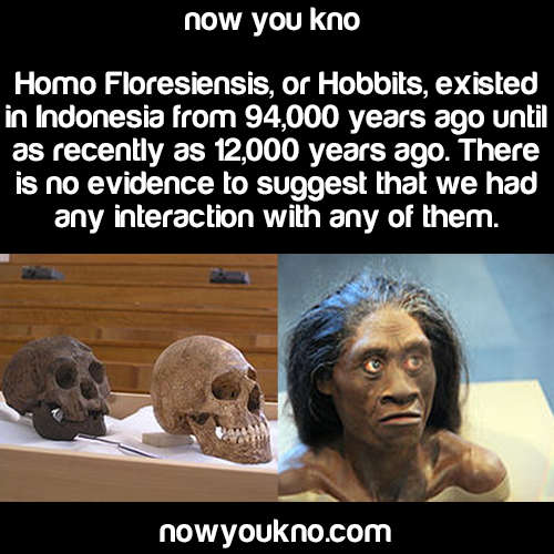 nowyoukno:  (Sources: 1, 2, 3, 4) for more facts follow NowYouKno 