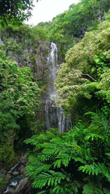 rediscoveringearth: Waterfall in Maui, Hawaii More of our amazing world