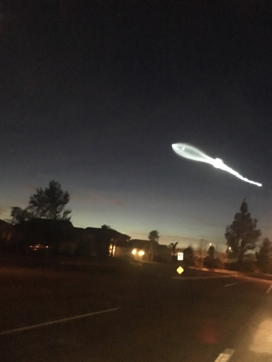 WHAT THE FUCK IS OUTSIDE MY HOUSE RIGHT NOW????????????????????????