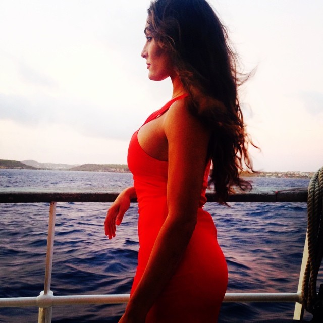 favorcelebs:  WWE Nikki Bella