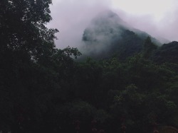 thestellalai:  Foggy morning Guilin, China