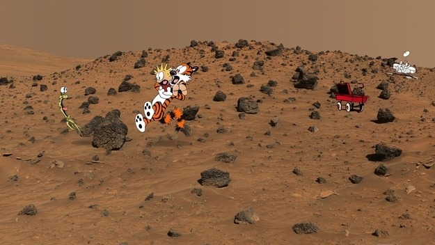 buzzfeed:  Real World: Calvin and Hobbes. 