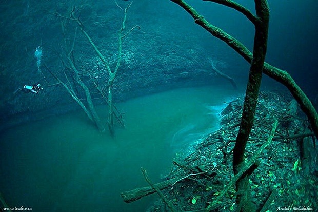 This is the Cenote Angelita river in Mexico. Like many other rivers in the world,