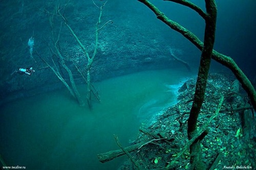 This is the Cenote Angelita river in Mexico. Like many other rivers in the world, you can find trees & leaves along its banks. Notice that little guy to the left of the picture? That’s a scuba diver. Because unlike other rivers, this one is