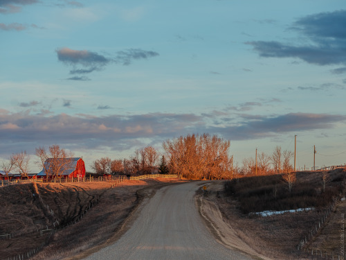 well kids, spring is finally here in the prairie. my near 6 month break from making photos is over. 