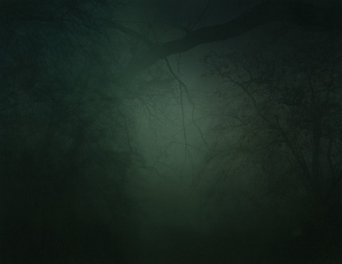 arpeggia:  Nicholas Hughes - In Darkness Visible Verse I, 2005-2007 Artist’s statement: “In reaction to media led sensory anaesthetisation, and wearied by empty political rhetoric, my aim was to construct a forest built from accumulated memory