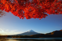 drxgonfly:  Fuji (by Outback Finder)