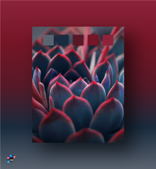 paletteworld: #76 5B6370 - 192B3E - 591827 - 751526 - 8C233B