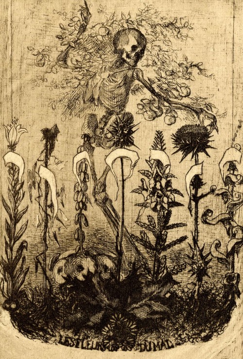 Unpublished Frontispiece for Baudelaire’s ‘Les Fleurs du Mal’ (1857 / Etching) - Félix Bracquemond 