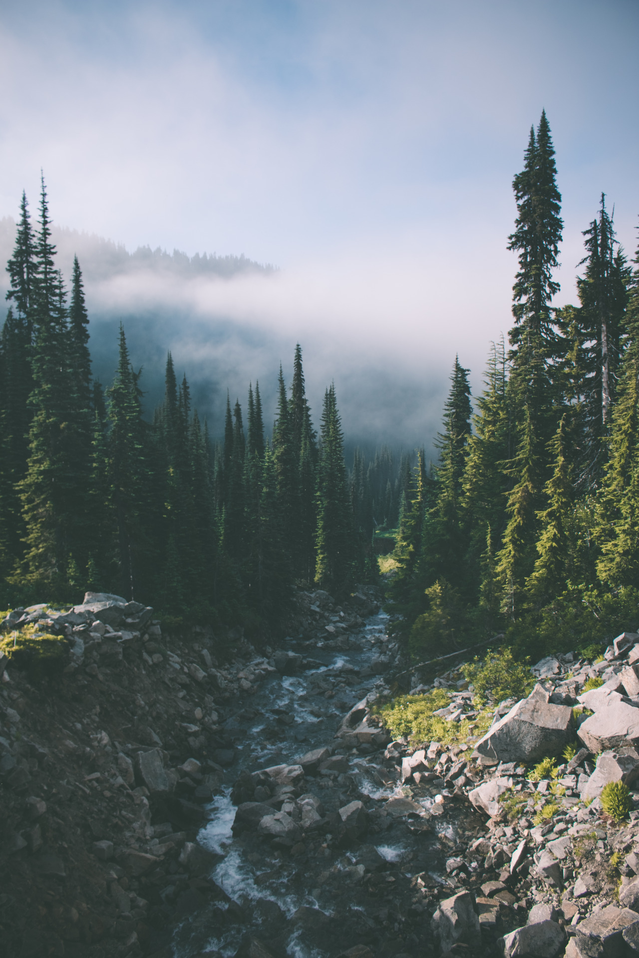 hannahkemp:  Early Mornings//Washington July 2016 