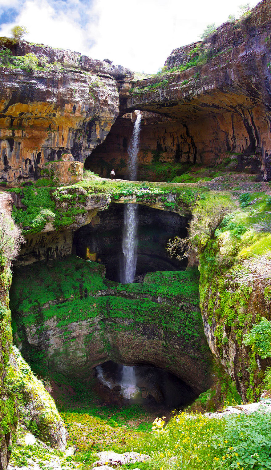 Superb Nature