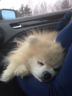 tommypom:  Wake me when we get there.