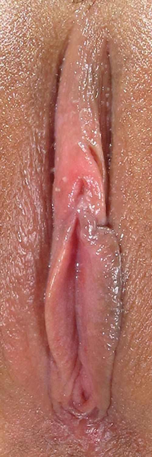 sette4sette:  Peaches - Very graceful… 1 Visit my new blog “setteasette” and