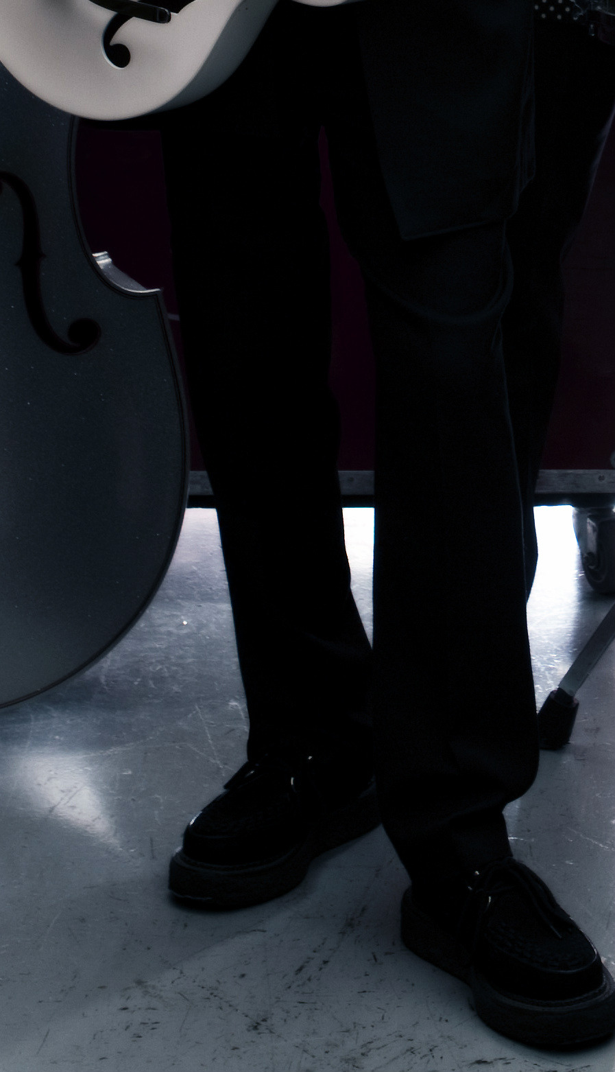 sideburns-and-gretsch:  Rockabilly Riot 