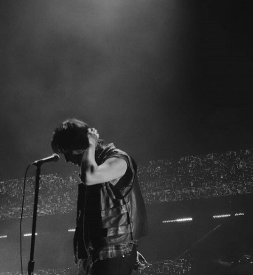 reptilia-blog: beautiful pic <3