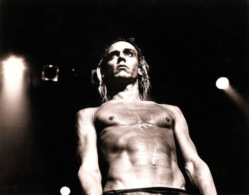 Iggy Pop (Leee Black Childers)“There are ways of intellectualizing punk—important ways in which its 