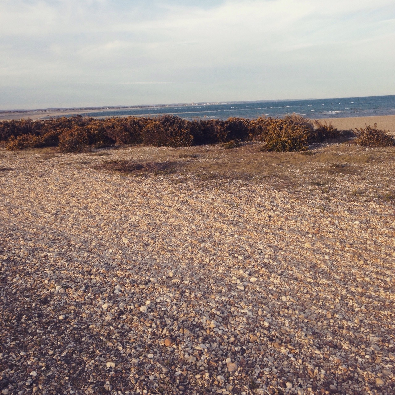 delightfullybritishdom:  I went on an adventure.