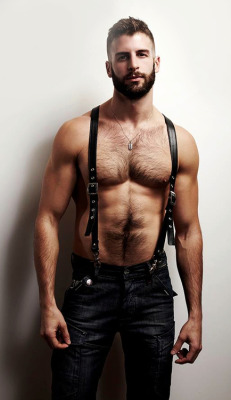 hairy-chests:  Hairy-ChestModelG