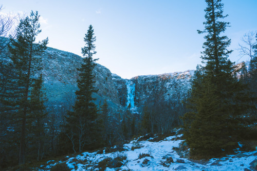 windandpines:➳ From a wintery walk in Fulufjället National Park. There is nothing better than e