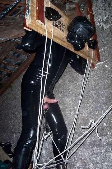 Lifestyles of the Fun and Kinky