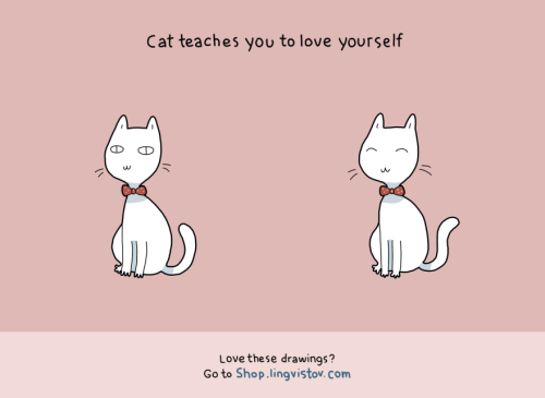 boredpanda:    10 Benefits Of Having A Cat  