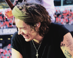 dailyonedirection:  &ldquo;You can’t wish for things like this, you can’t ever sit and imagine that you actually get to do this. If I had to call it a job, then this is my job. and I love my job.” x/x 