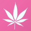 marijuanaprimadonnaa