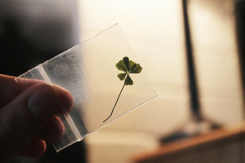 curios1ty:  untitled by margaret durow on Flickr. 