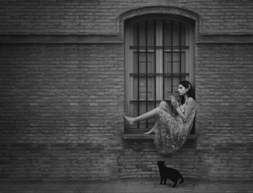 solitaria:  by Vinzenso