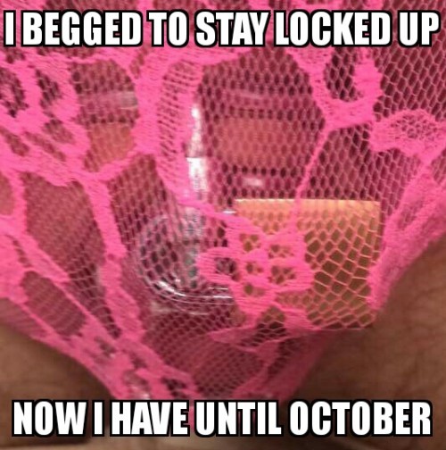 yourcockismycock: yourcockismycock: It has been a busy couple of weeks for me and I haven’t be