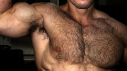 hairy-chests:  Hairy Chest S 