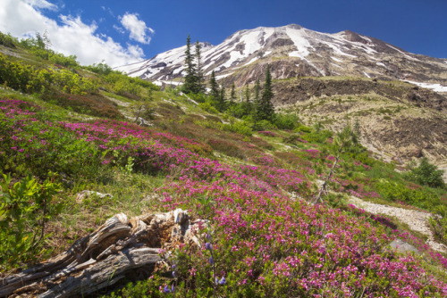 Mount Saint Helens by l_c_m_tt_ www.lucascometto.com