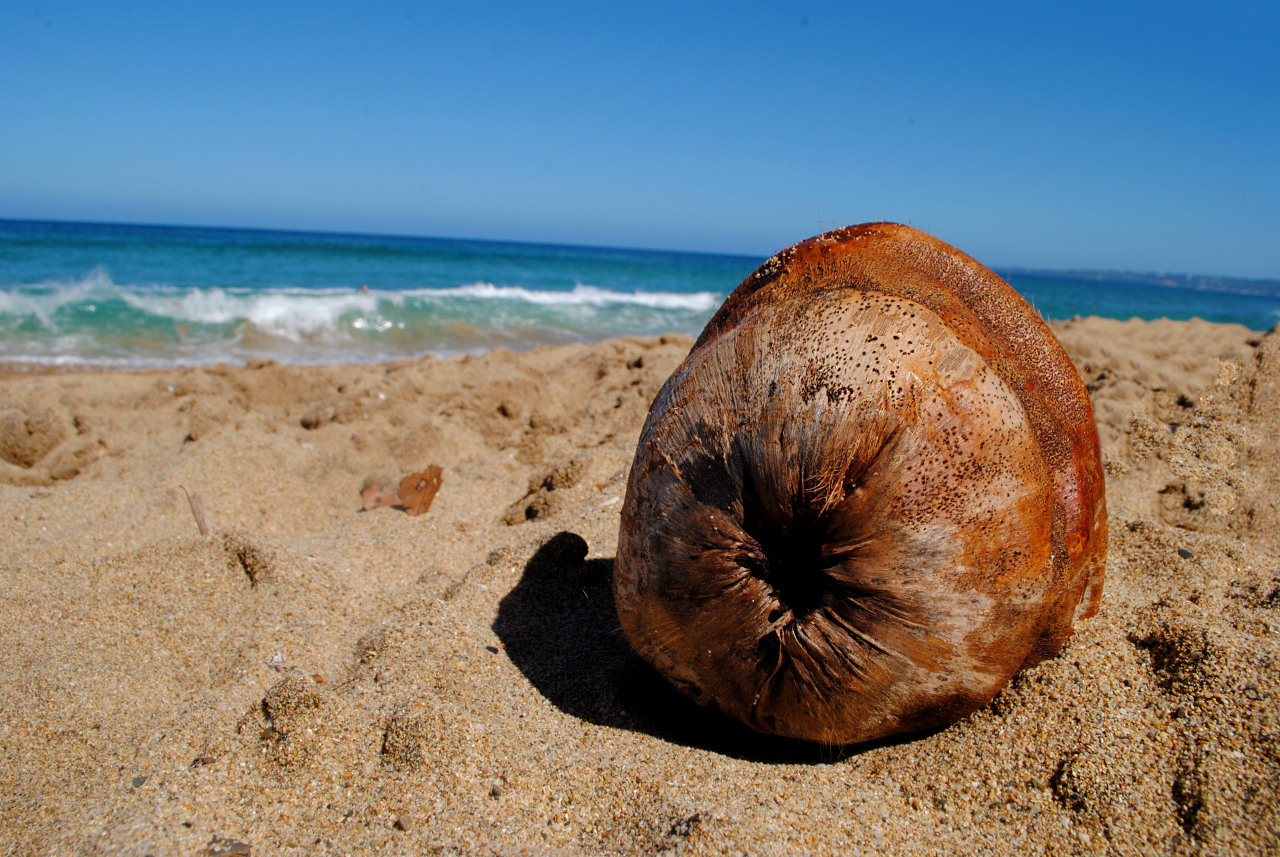 hurleywaves:  erinboberin27:  a few shots from my trip to puerto rico last week with