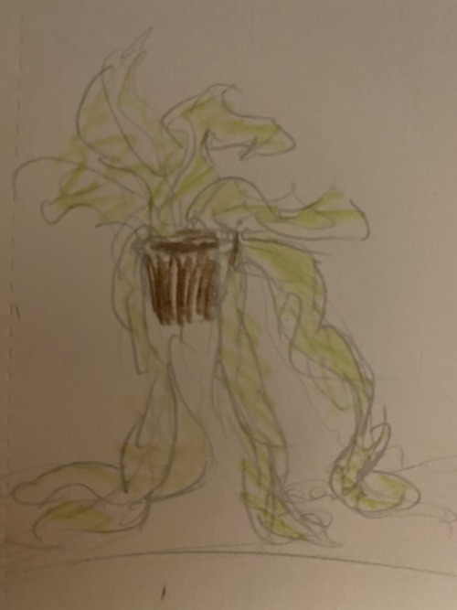 From Flirting With Death /srs By Chaoscookiescrime Ao3 ; A House Plant