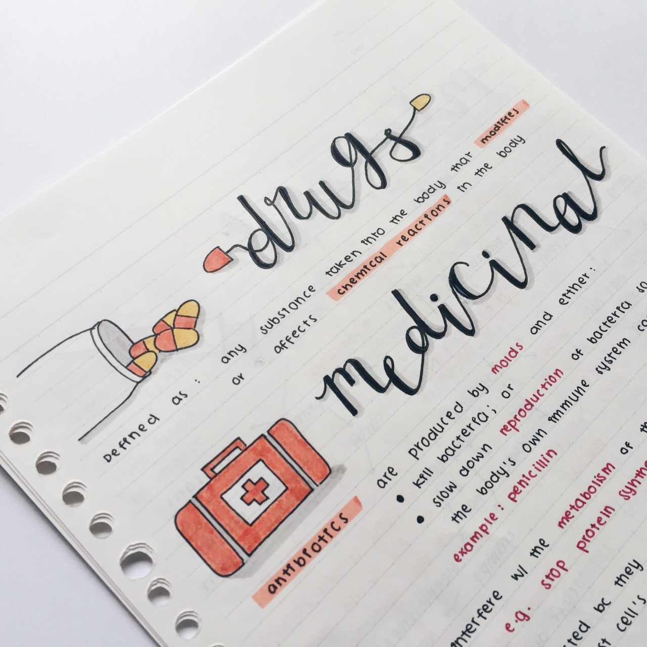 eintsein:  February 9th, 2016 // bio notes that I’m actually proud of. Finally