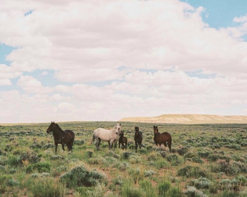 Wyoming