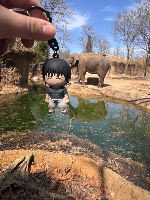 I Took Toji To The Zoo And Art Museum Today!! I Think He Enjoyed Himself :P
