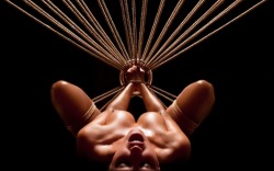 ballerinabondagefairies:  eroticwitch: Art of Contemporary Shibari.  