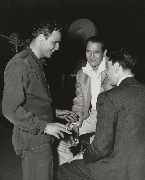 pintordepalabras:  antipahtico:  Marlon Brando & Paul Newman (1957)  Genios
