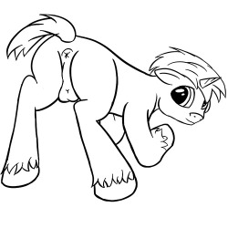 Put em all together and you get a pony sketch Blegh, thought that if I worked each body section individually, then combined em, it would turn out alright.  Ah well, you guys now get generic pony butt.  Going to bed now. Edit:Balls are now in front of